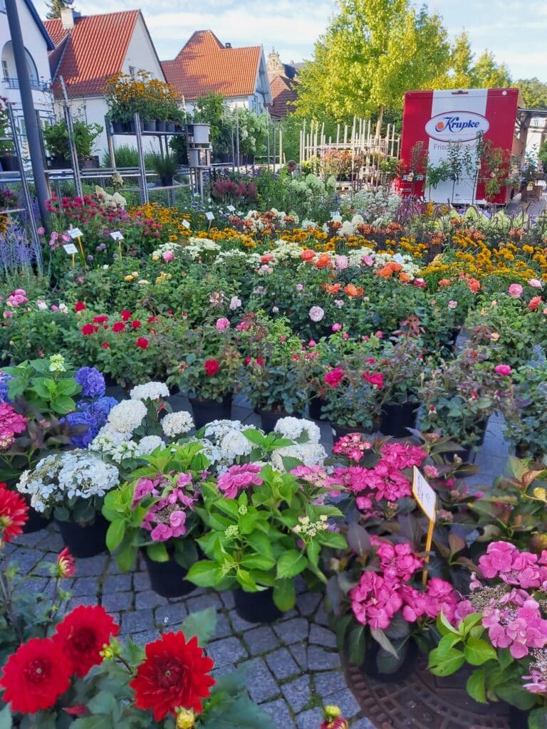 Blumenstand
